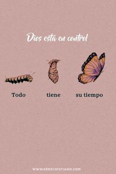 butterflies and caterpillars with the words dos esta en control in spanish