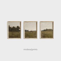 three framed pictures hanging on the wall in front of a white wall with grass and trees