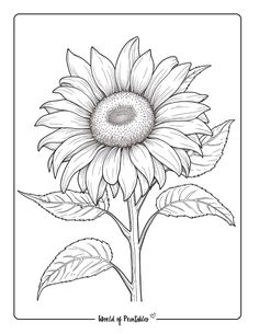 a drawing of a sunflower with leaves