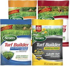 Common Lawn Weeds, Centipede Grass, Fall Lawn, Lawn Food, Tall Fescue, Lawn Care Business, Lawn Fertilizer, Types Of Grass, Lawn Care Tips