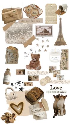 the collage has many different items in it, including a teddy bear and other things