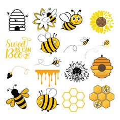 bees and honeycombs with the words sweet as can bee