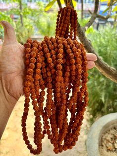 Wholesale Lot 9 Malas- 5 Mukhi RUDRAKSHA Rudraksh Mala ROSARY 108 Prayer Beads 5 faces, Lord Shivas Jaap Mala Yoga Prayer Healing, UNKNOTTED by ArtisanCraftedJewelz on Etsy