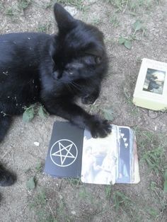 a black cat laying on the ground next to two books and an open pentagram