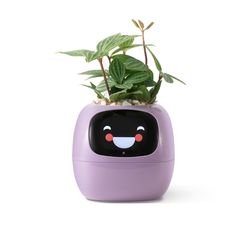 a purple planter with a face on it's head and plants growing out of the top