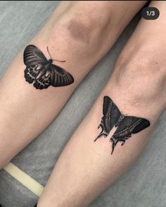 two black and white butterflies on the legs