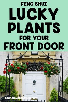 the front door to a house with text overlay that reads, how to feng shut lucky plants for your front door