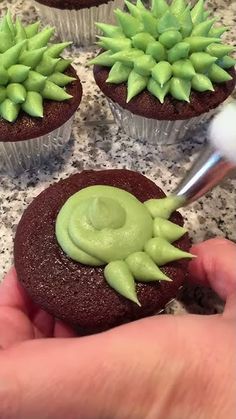 the cupcakes have green frosting on them and are decorated with succulents