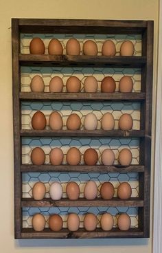 several shelves with eggs in them on the wall