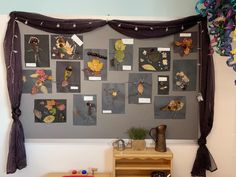 a bulletin board with lots of pictures on it and some decorations hanging from the wall