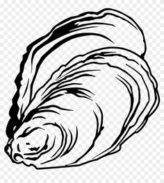 a black and white drawing of a sea shell on transparent background, hd png