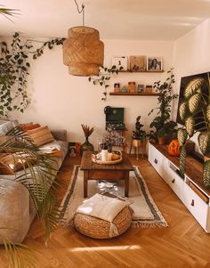 a living room filled with furniture and lots of plants