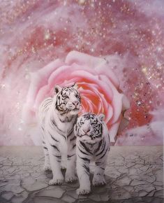 two white tiger standing next to each other in front of a pink rose and star filled sky