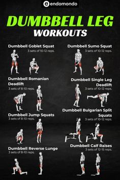 the dumbbell leg workout poster