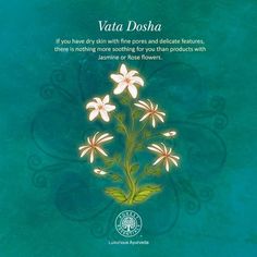 Vata dosha 21st Birthday Wishes, Astrology Remedy, Ayurvedic Healing