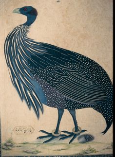 a painting of a black bird with white dots on it's head and tail