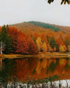 a lake surrounded by lots of trees with orange and yellow leaves on the water's edge