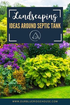 landscaping ideas around sepic tank with text overlay that reads landscaping ideas around sepic tank