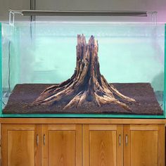 an aquarium filled with water and wood pieces in it's bottom half, on top of a wooden cabinet