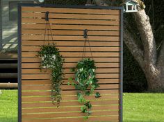 Sojag Privadesa 4x6 ft Privacy Screen SOJAG Privacy Screen Patio, Privacy Wall On Deck, Screen In Porch, Fence Landscaping Border Backyard Ideas, Screen Patio, Privacy Planter, Diy Privacy Screen, Halloween Patio, Wood Aesthetic