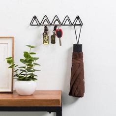 there is a potted plant and two keys hanging from the hooks on the wall