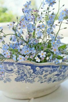 blue and white flowers in a bowl on a table