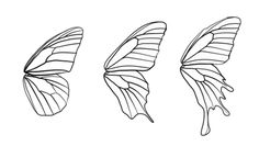 three butterflies that are drawn in one line and the other half is black and white