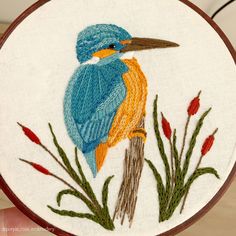 a blue and yellow bird sitting on top of a white hoop hanging from a wall