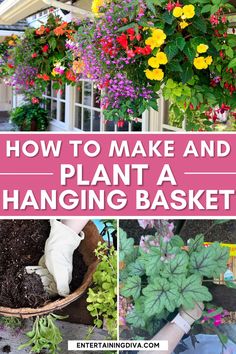 How To Plant A Hanging Basket Tomato Hanging Basket, Hanging Basket Garden, Ivy Geraniums, Full Sun Flowers, Porch Balcony, Hanging Flower Baskets, Plants For Hanging Baskets, Perennial Shrubs, Best Plants