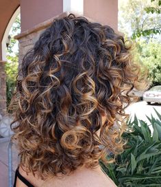 Transitional Fall Hair Color, 2c Hair Balayage, Curly Hair Color 2023 Trends, Curly Hair Color 2023, Fall Hair Color For Curly Brunettes, Summer Hair Color For Brunettes Curly, Fall Hair Color For Brunettes Curly Hair, Short Brown Curly Hair With Highlights, Partial Balayage Curly Hair