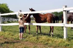 a woman petting a brown horse behind a white fence in a field with other horses