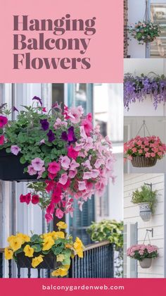 hanging balcony flowers with text overlay that says hanging balcony flowers