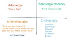 four different types of adrenigic blockers with the words'adrenigic blocks'and'antichlorics '