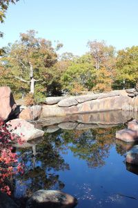 a pond surrounded by rocks and trees