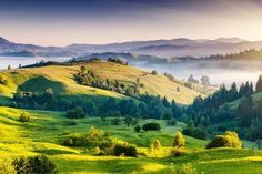 beautiful green hills with trees and fog in the valley