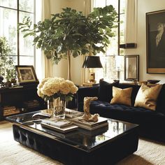 a living room filled with furniture and a large potted plant