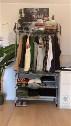 an organized closet with clothes and shoes on shelves in front of a wall mounted plant