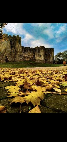 leaves on the ground in front of an old castle