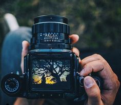 a person holding up a camera with trees in the background