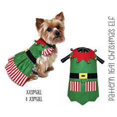 a small dog wearing a green and red christmas outfit next to an elf's costume