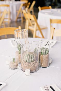 there are many small plants in glass vases on the table at this wedding reception