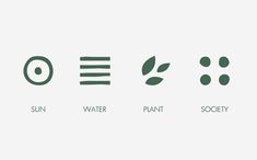 four different types of plants that are in the same font and numbers on each side