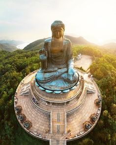 a large buddha statue sitting on top of a lush green hillside next to a forest