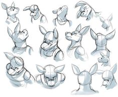 some sketches of different animals and their faces in various poses, with one being drawn