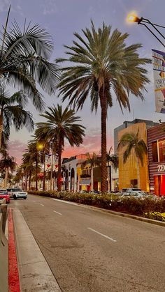 palm trees line the street in front of shops and hotels at dusk, with traffic passing by