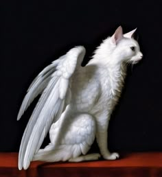 a white cat with wings sitting on top of a wooden table in front of a black background