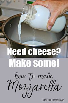 someone pouring milk into a pot with the words need cheese? make some how to make mozzarella