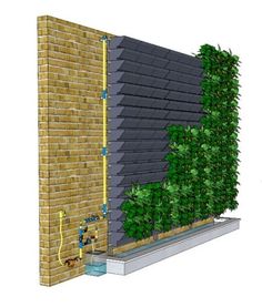 a brick wall with plants growing on it and water coming out of the hole in front