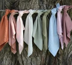 several different colored ties hanging from a tree