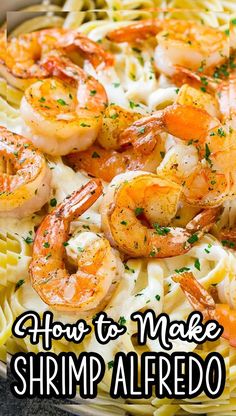 shrimp alfredo with text overlay that says how to make shrimp alfredo on top of pasta